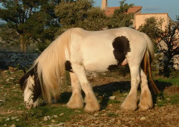 Le Petit Coin De Noah Holiday home *